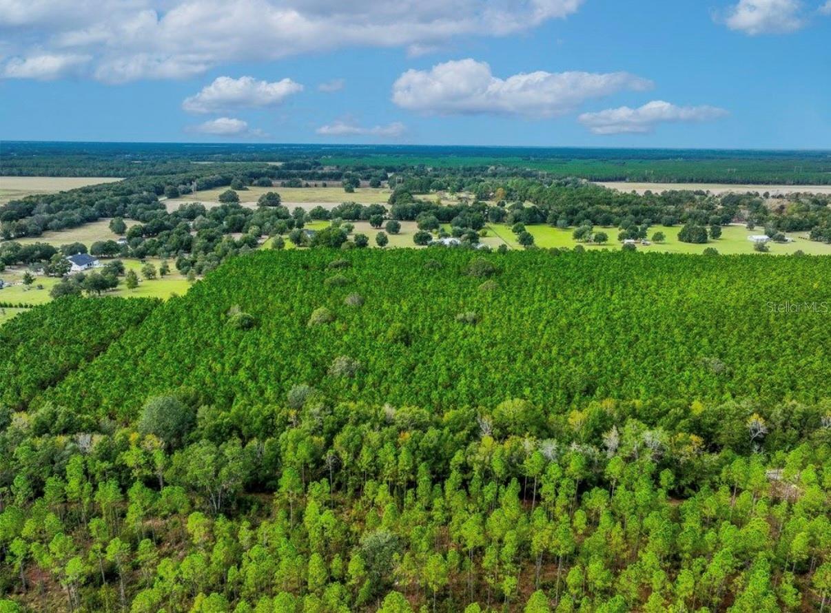 000 NW 78TH AVE, NEWBERRY, FL, 32669