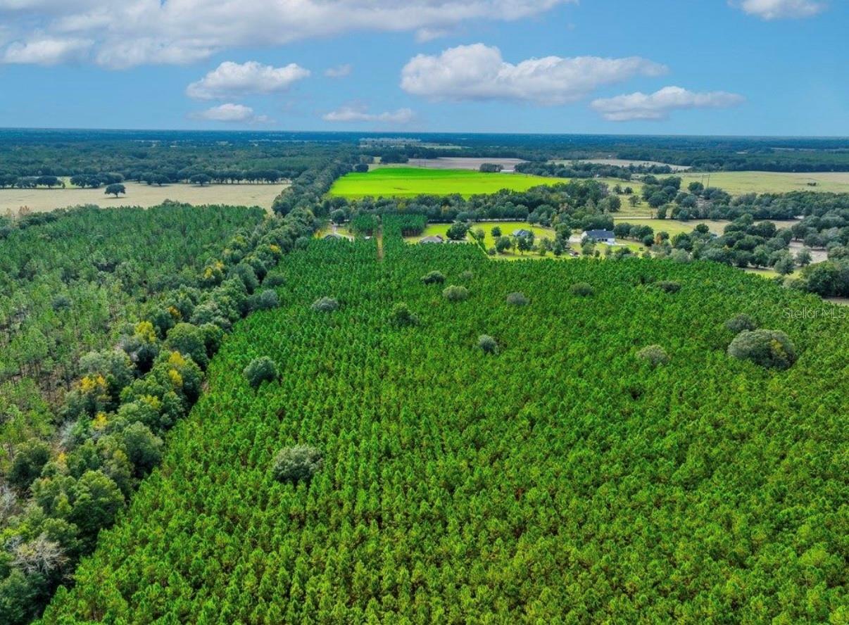 000 NW 78TH AVE, NEWBERRY, FL, 32669