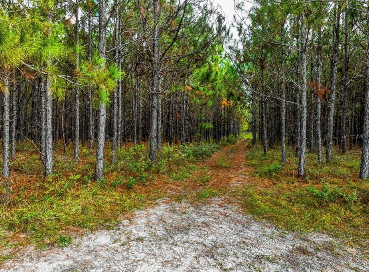 000 NW 78TH AVE, NEWBERRY, FL, 32669