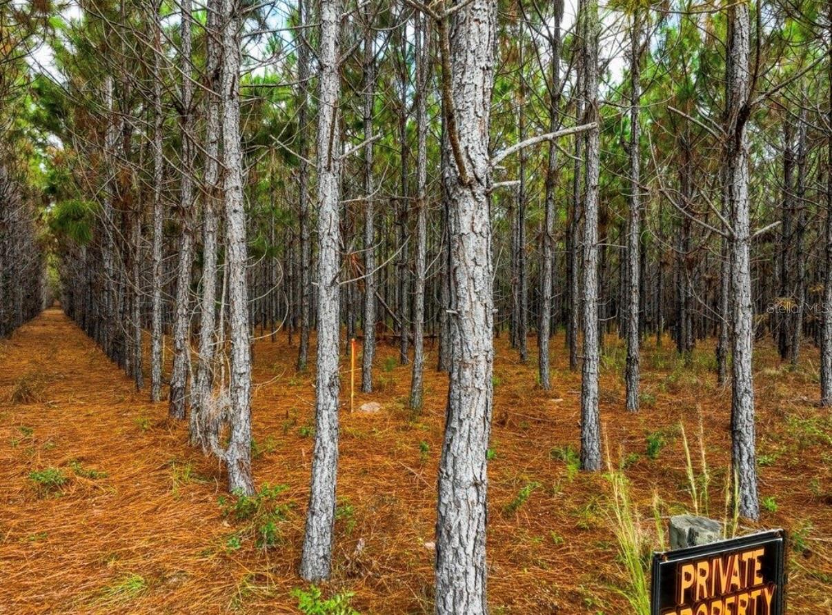 000 NW 78TH AVE, NEWBERRY, FL, 32669