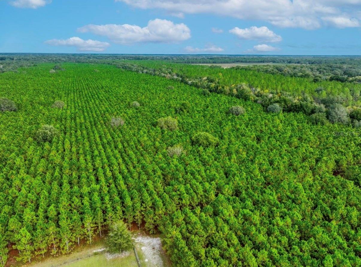 000 NW 78TH AVE, NEWBERRY, FL, 32669