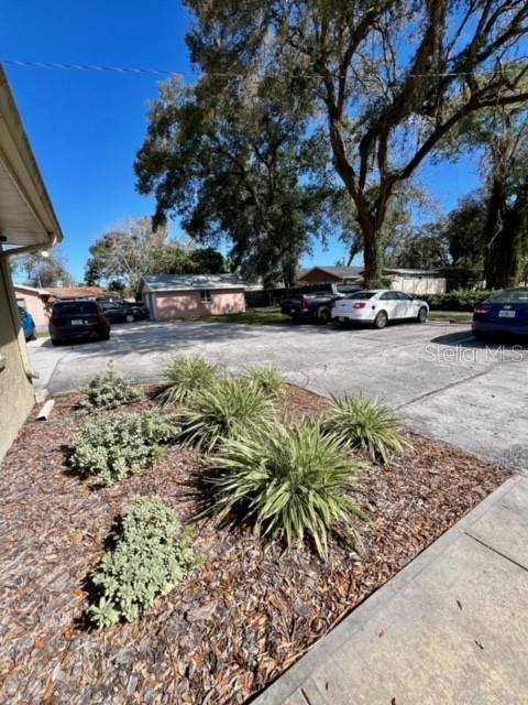 203 RIDGEWOOD AVE #B, BRANDON, FL, 33510