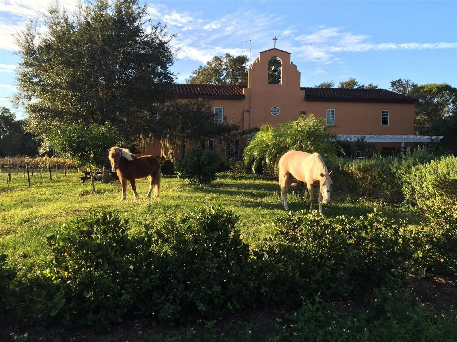 A4672463 Property Photo