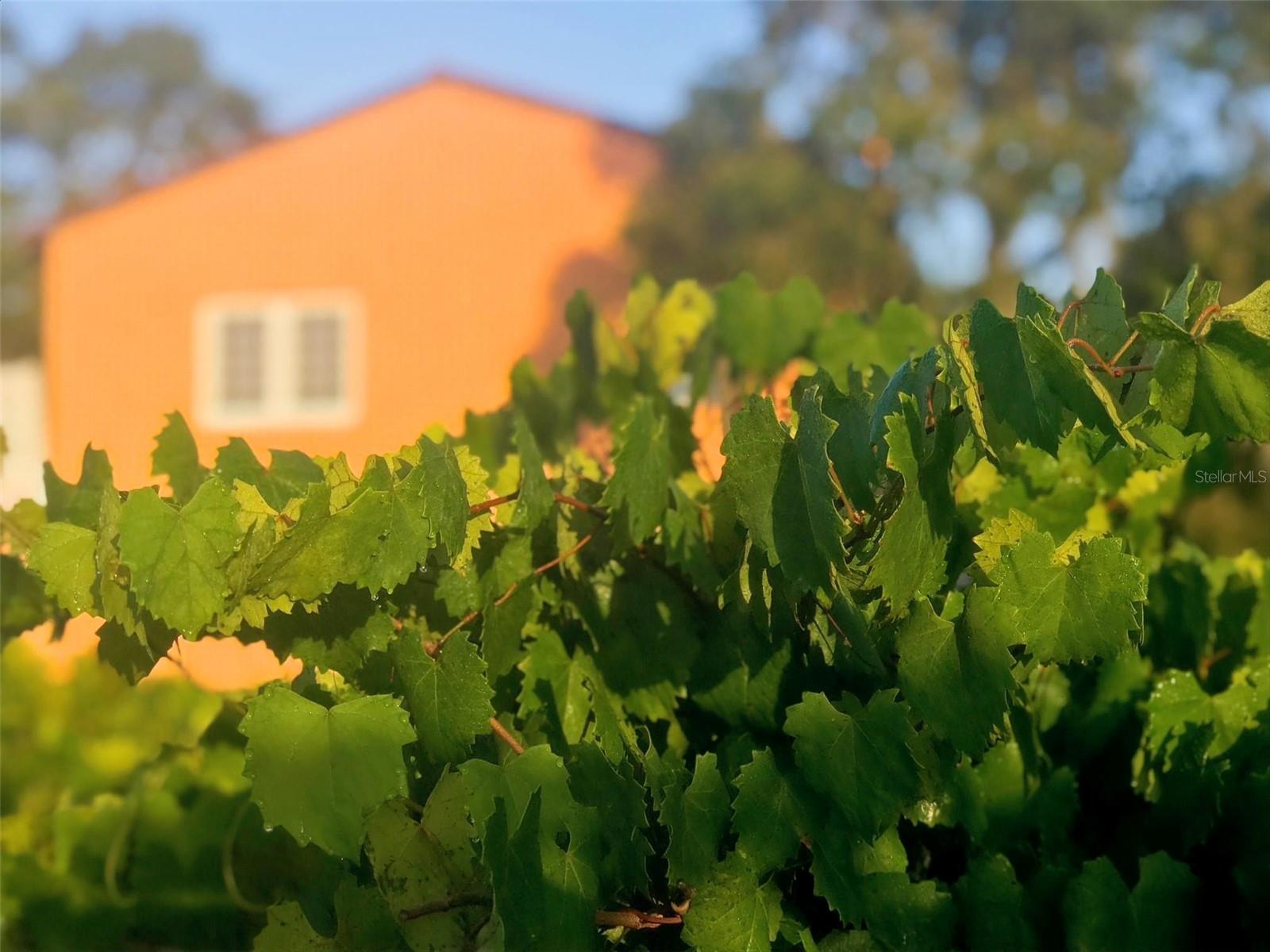 A4672463 Property Photo