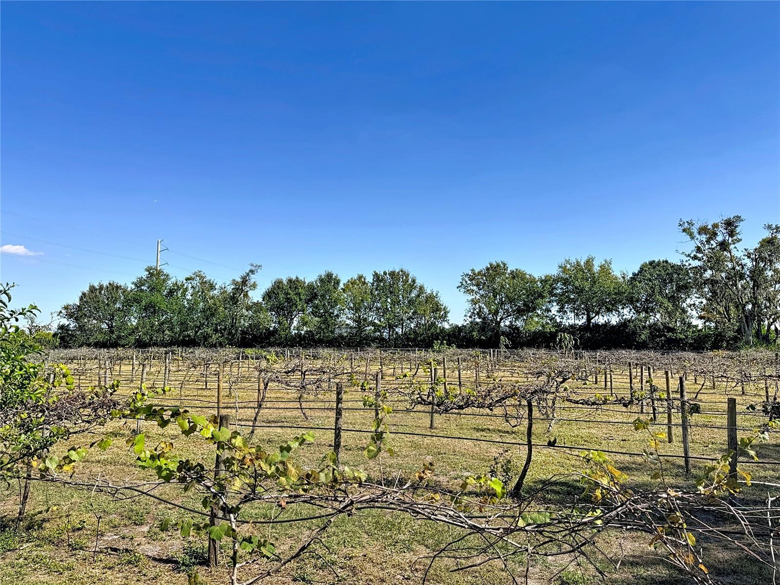 A4672463 Property Photo