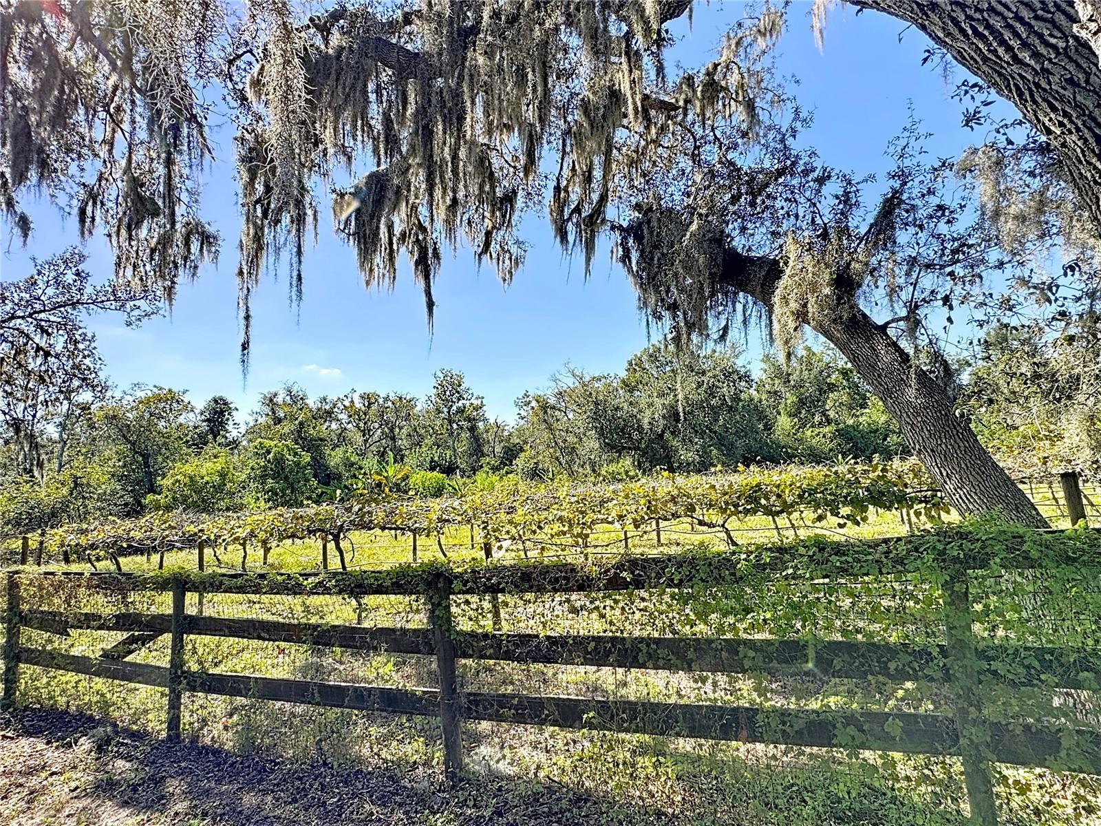 A4672463 Property Photo