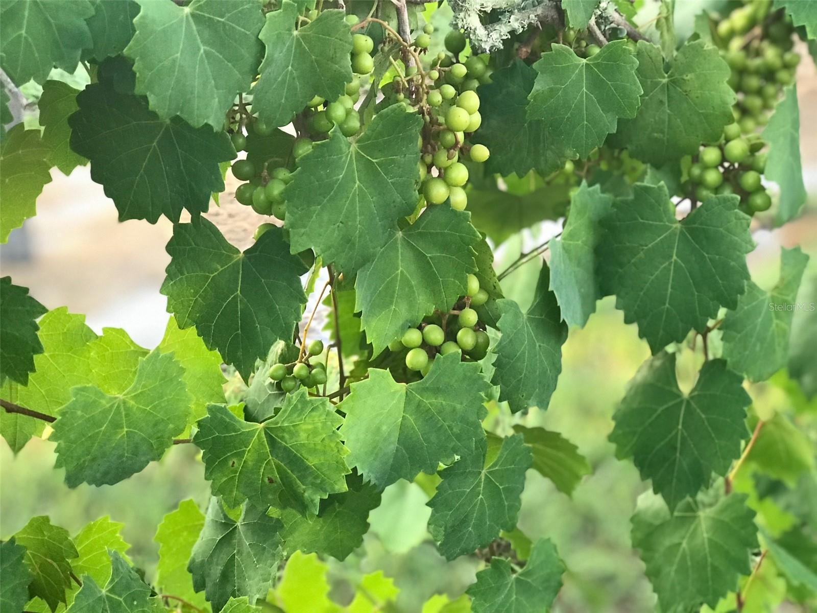 A4672463 Property Photo