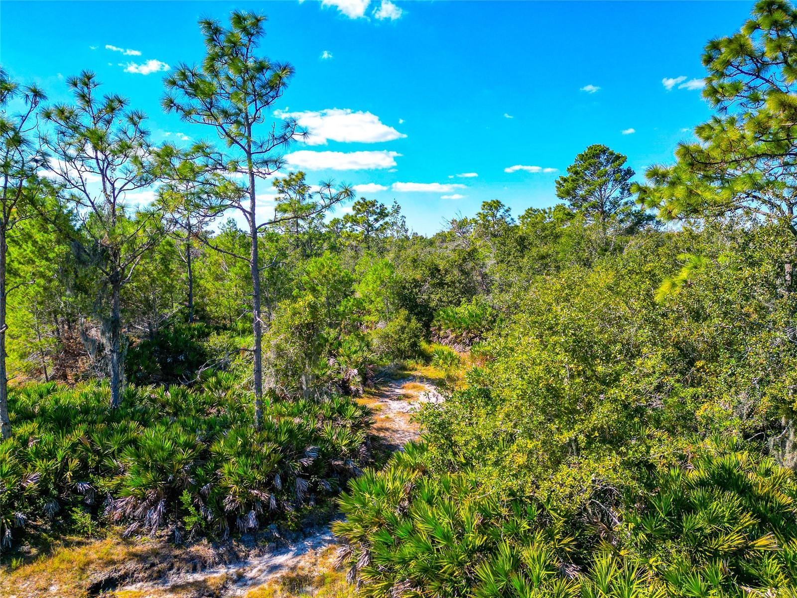 A4672463 Property Photo