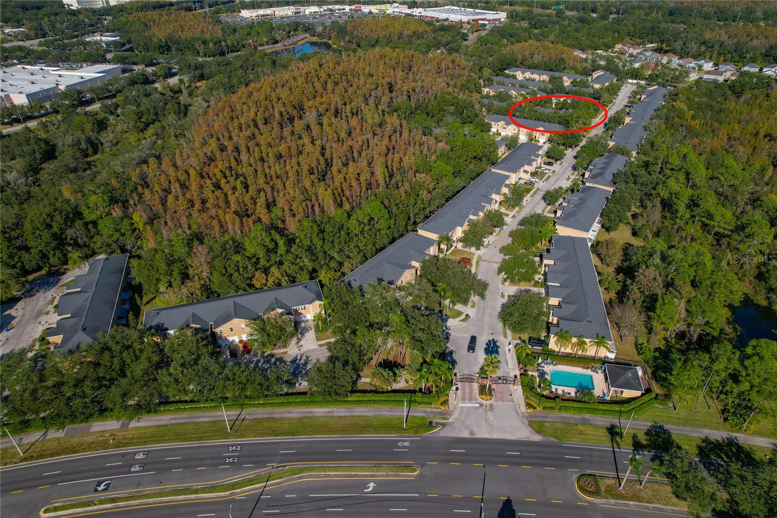 16302 NEWBURY PALMS CT, TAMPA, FL, 33647