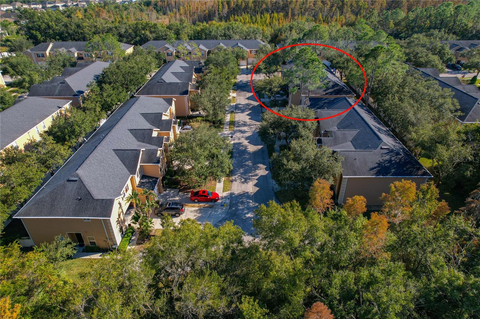 16302 NEWBURY PALMS CT, TAMPA, FL, 33647