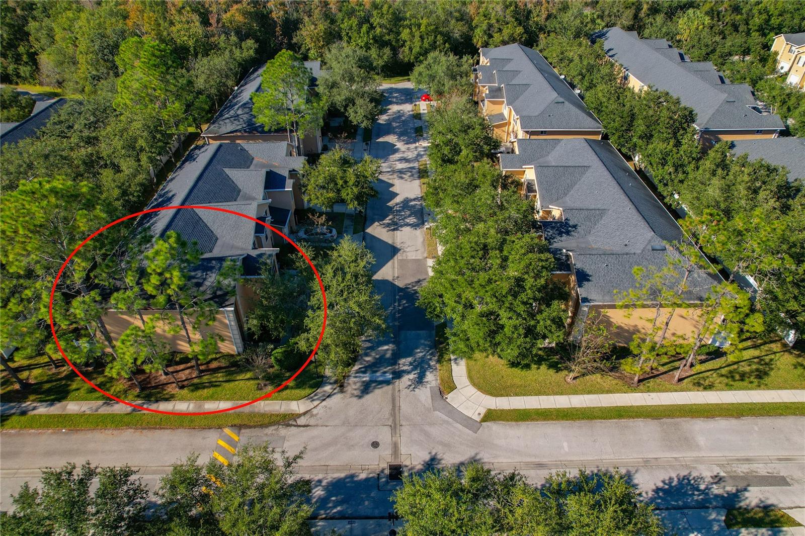 16302 NEWBURY PALMS CT, TAMPA, FL, 33647