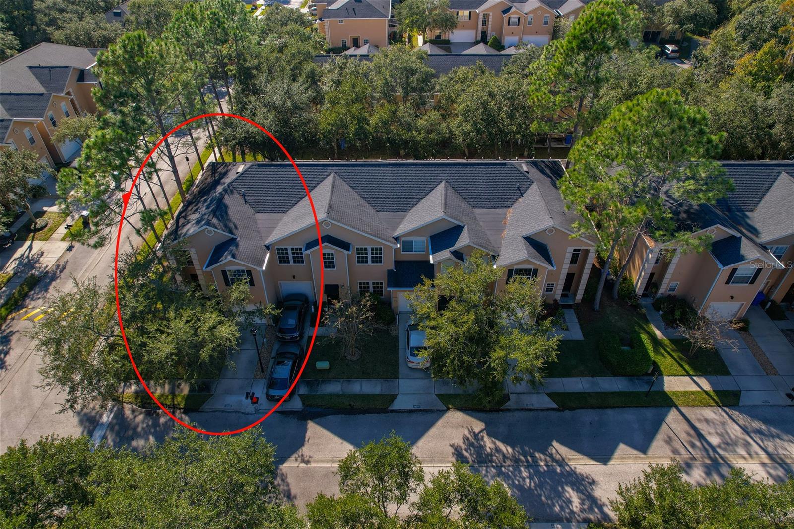 16302 NEWBURY PALMS CT, TAMPA, FL, 33647