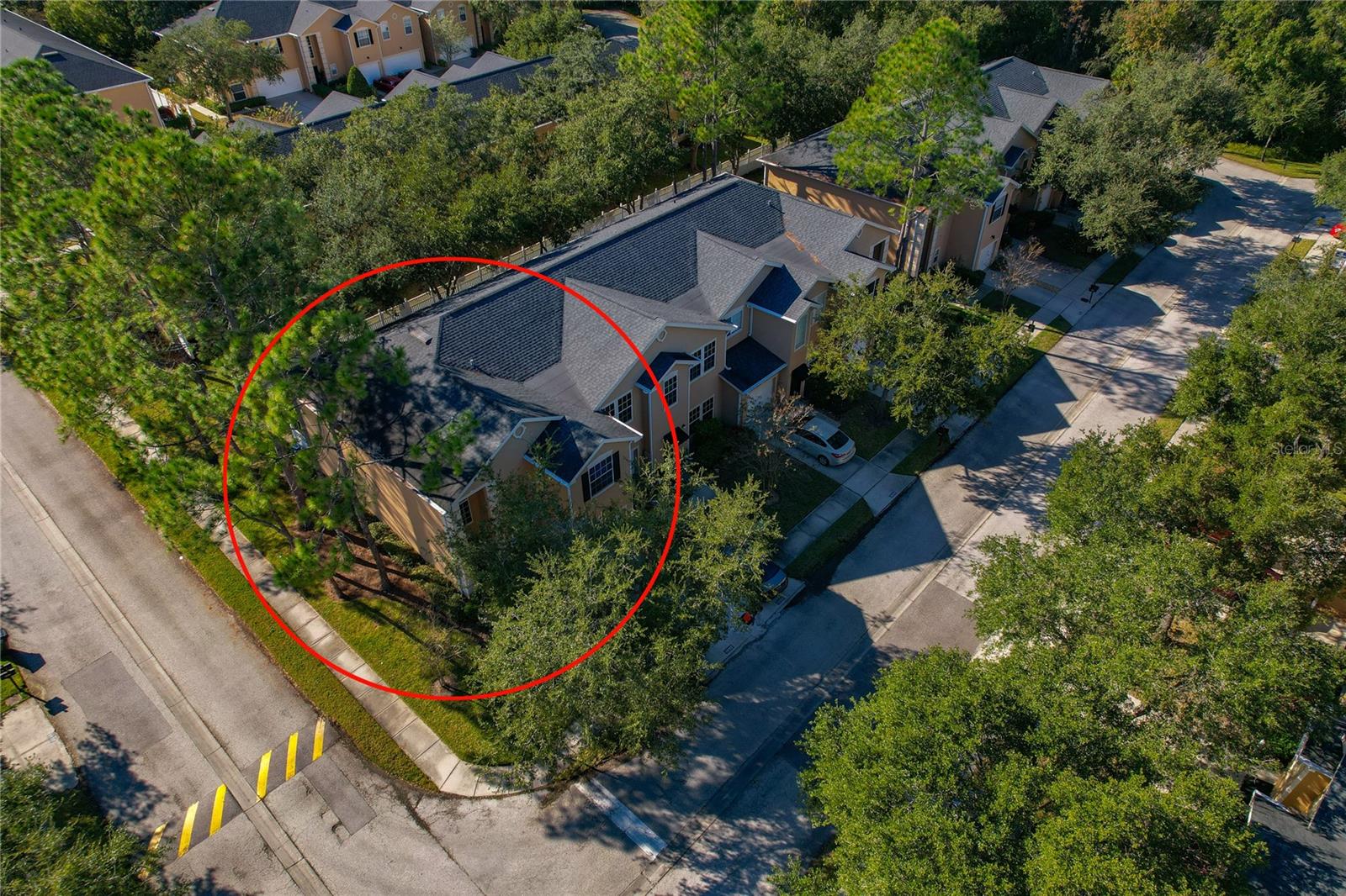 16302 NEWBURY PALMS CT, TAMPA, FL, 33647