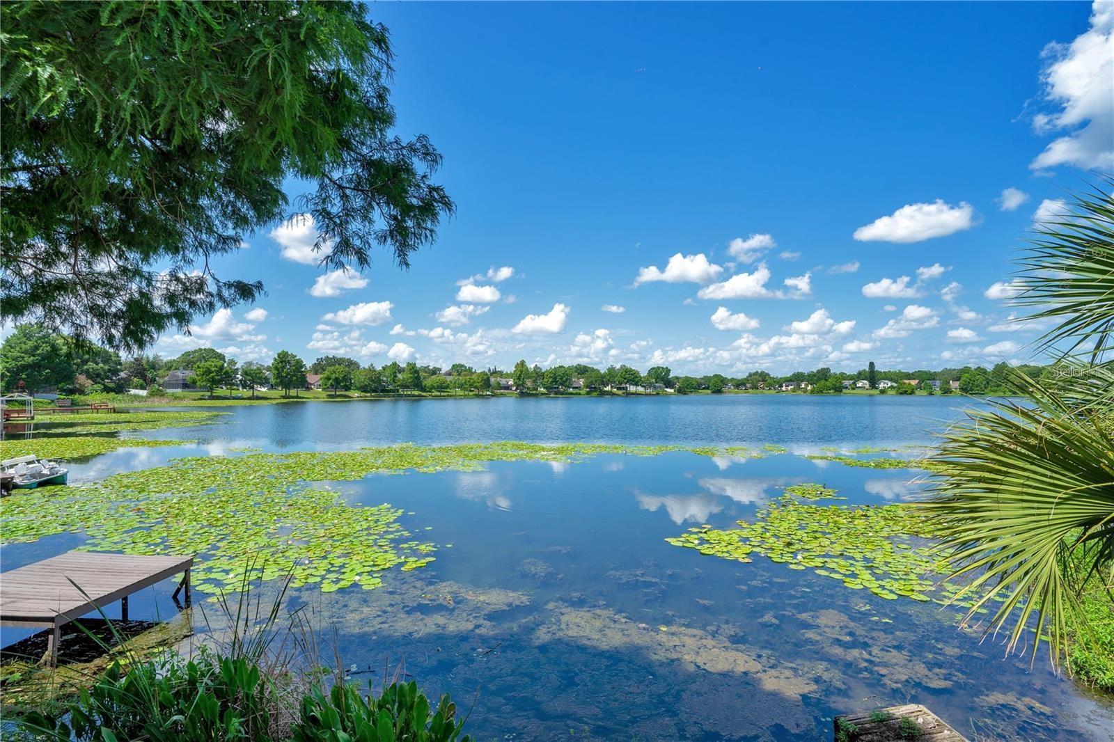 2942 MYSTIC COVE DR, ORLANDO, FL, 32812