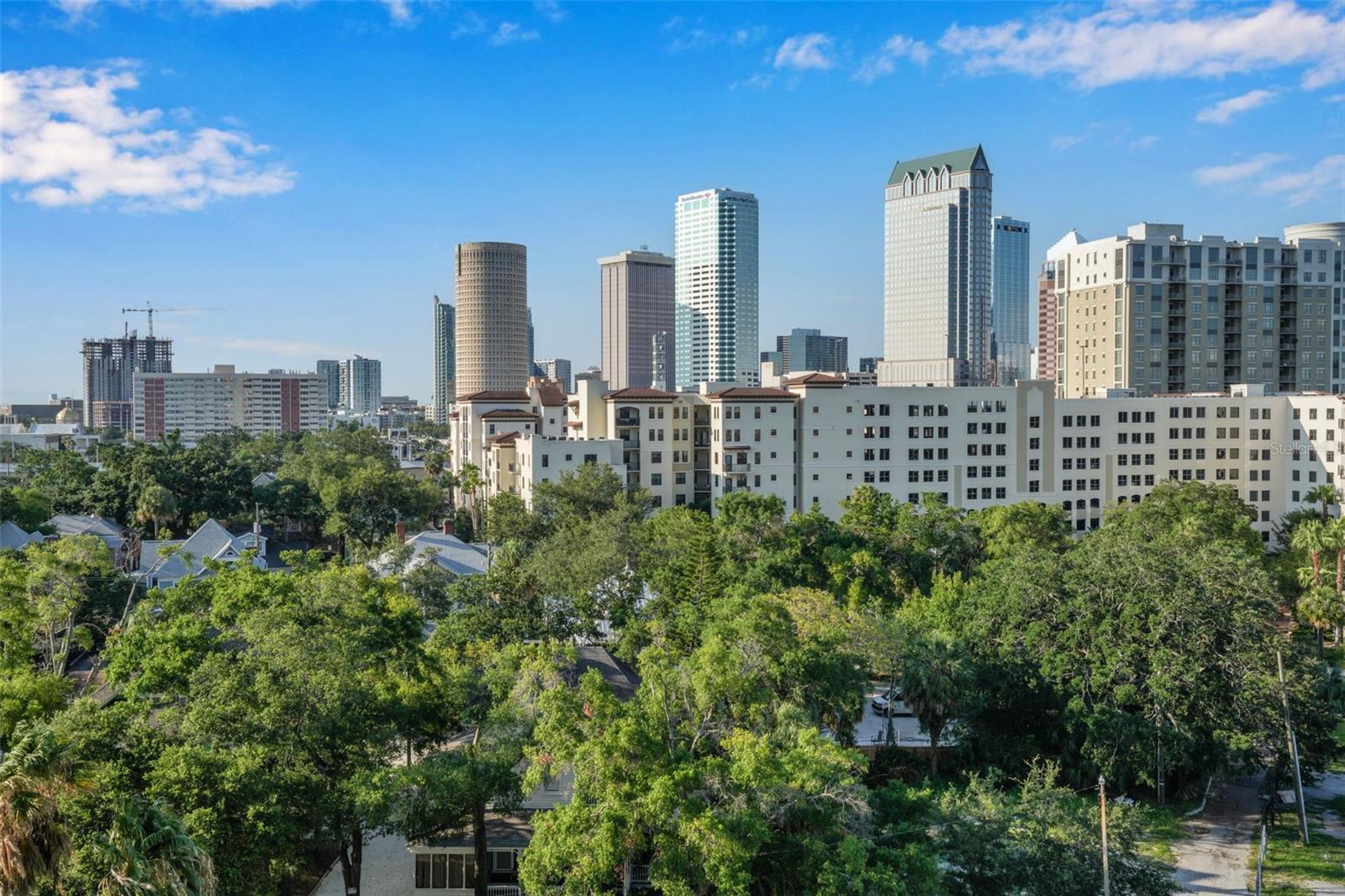 345 BAYSHORE BLVD #808, TAMPA, FL, 33606