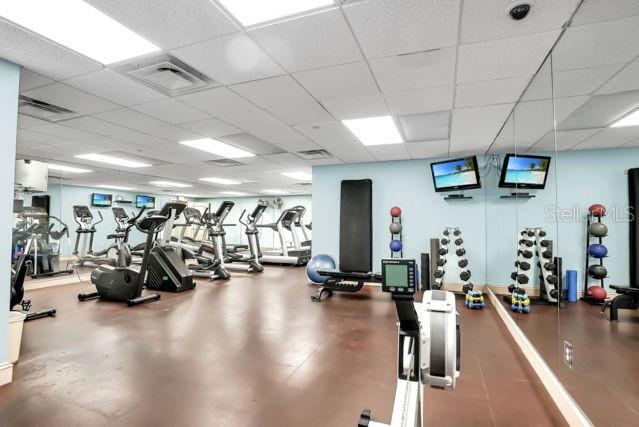 345 BAYSHORE BLVD #808, TAMPA, FL, 33606