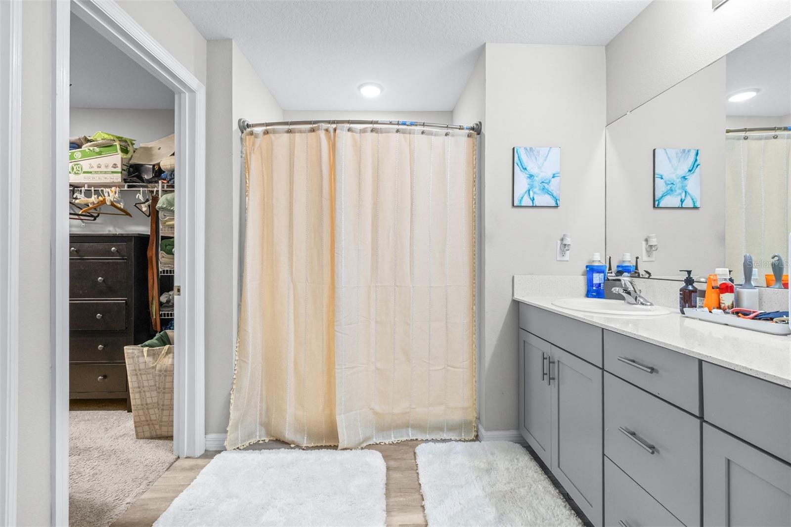 13030 BOGGY CREEK DR, RIVERVIEW, FL, 33579