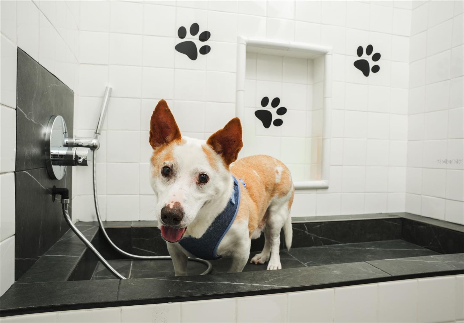 PR9117447 Property Photo