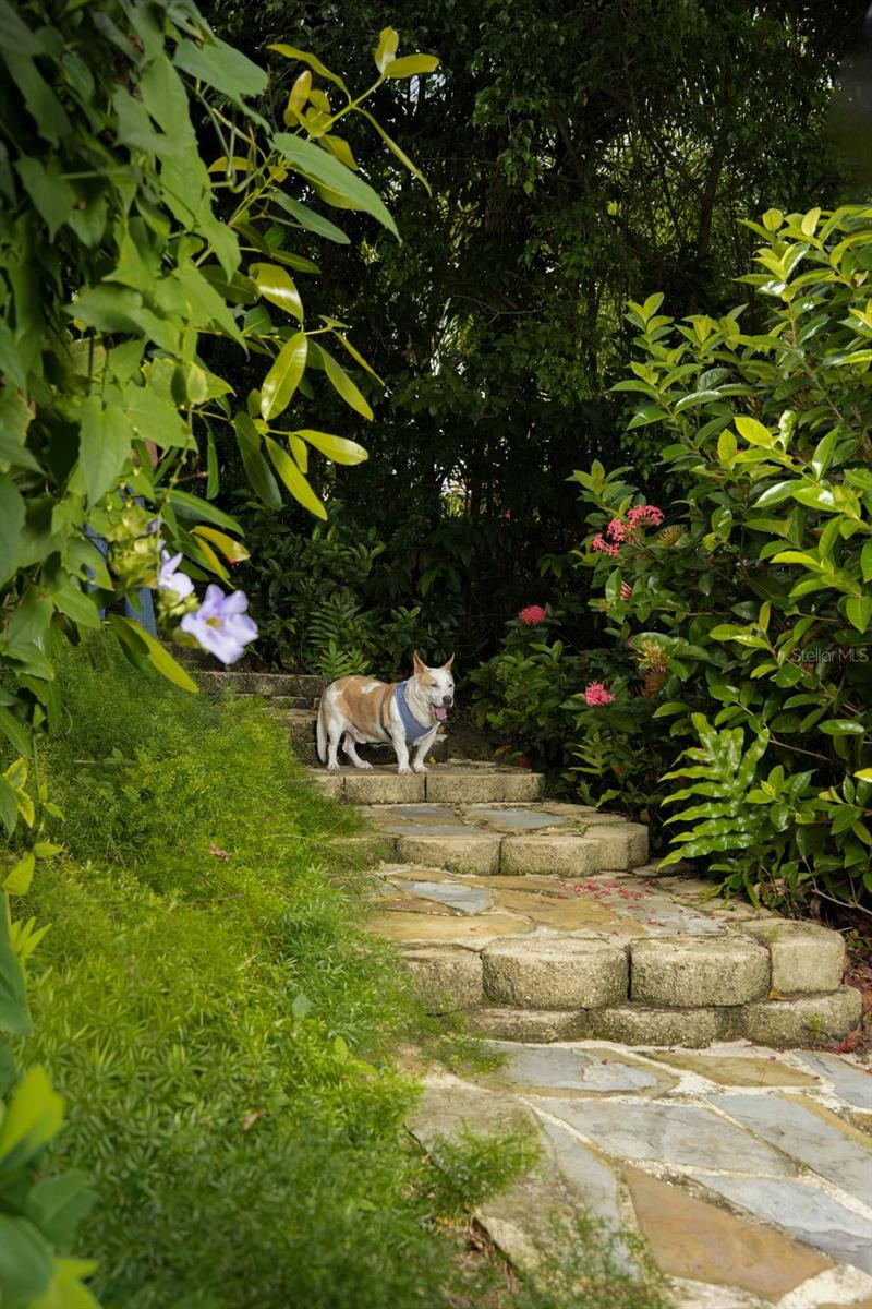 PR9117447 Property Photo