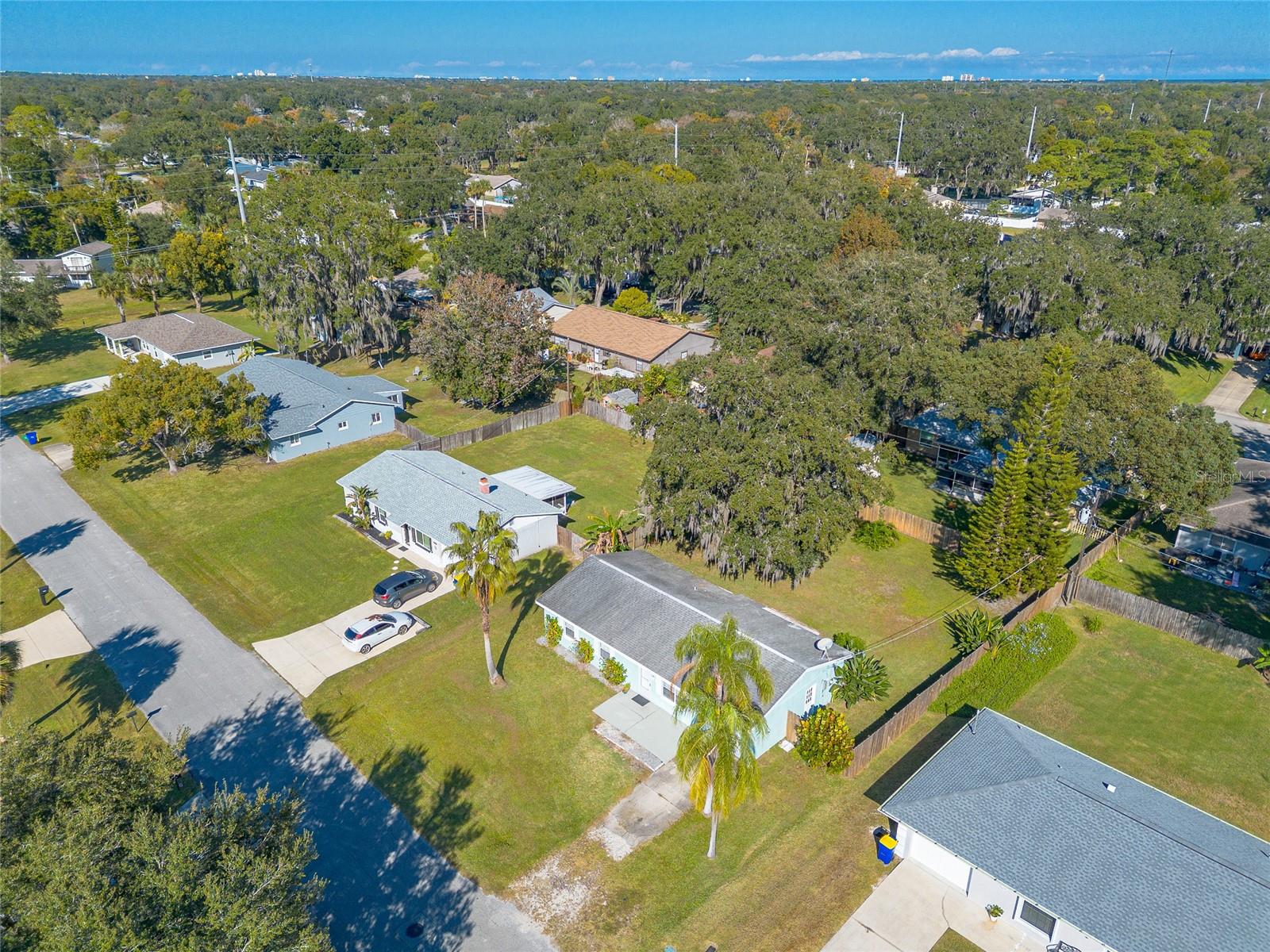 1719 UMBRELLA TREE DR, EDGEWATER, FL, 32132