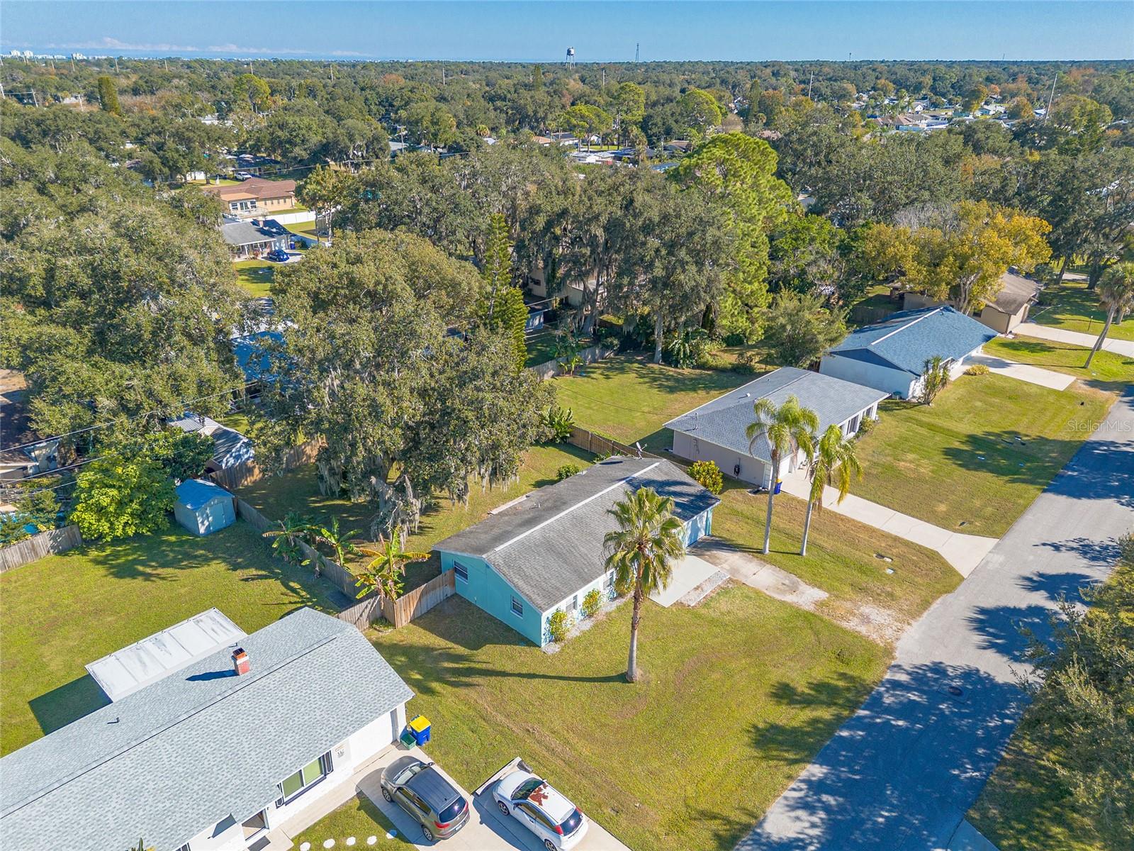 1719 UMBRELLA TREE DR, EDGEWATER, FL, 32132