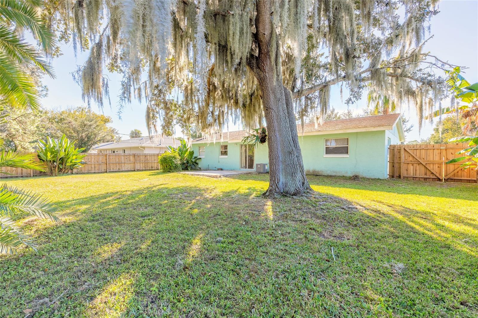 1719 UMBRELLA TREE DR, EDGEWATER, FL, 32132