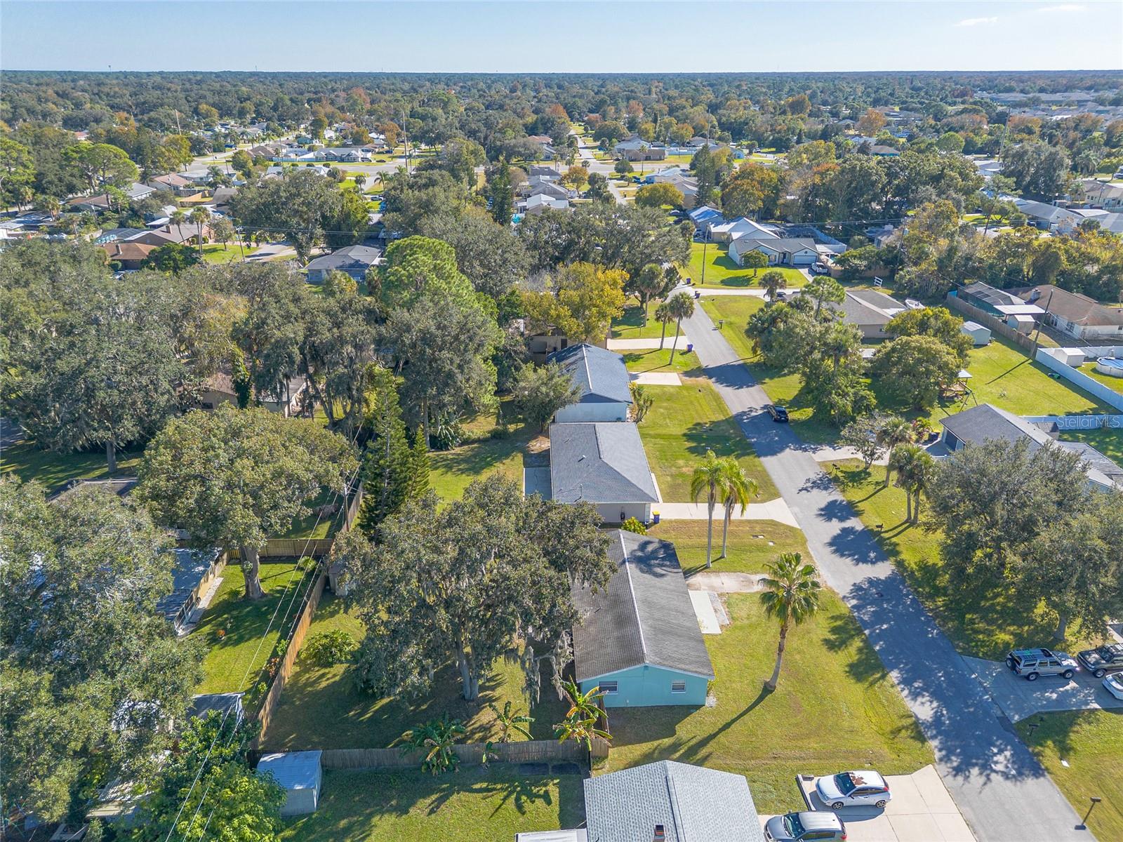 1719 UMBRELLA TREE DR, EDGEWATER, FL, 32132