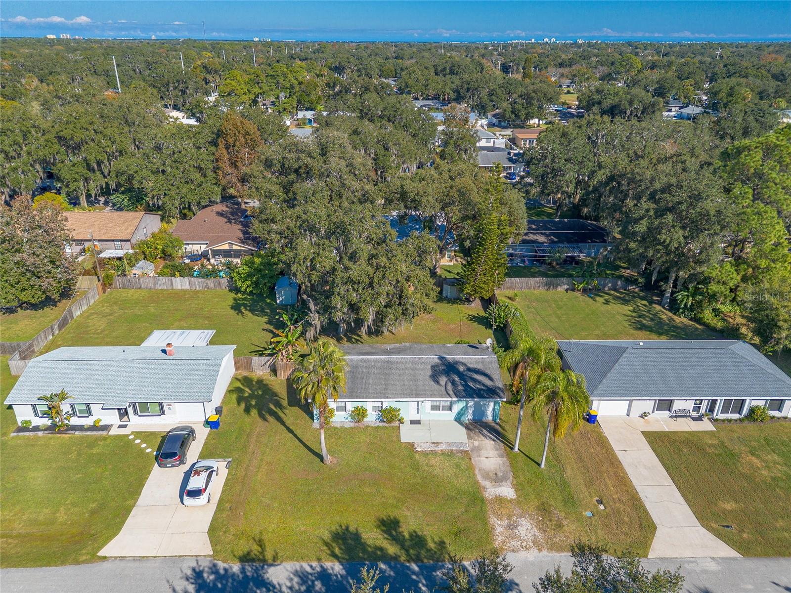 1719 UMBRELLA TREE DR, EDGEWATER, FL, 32132