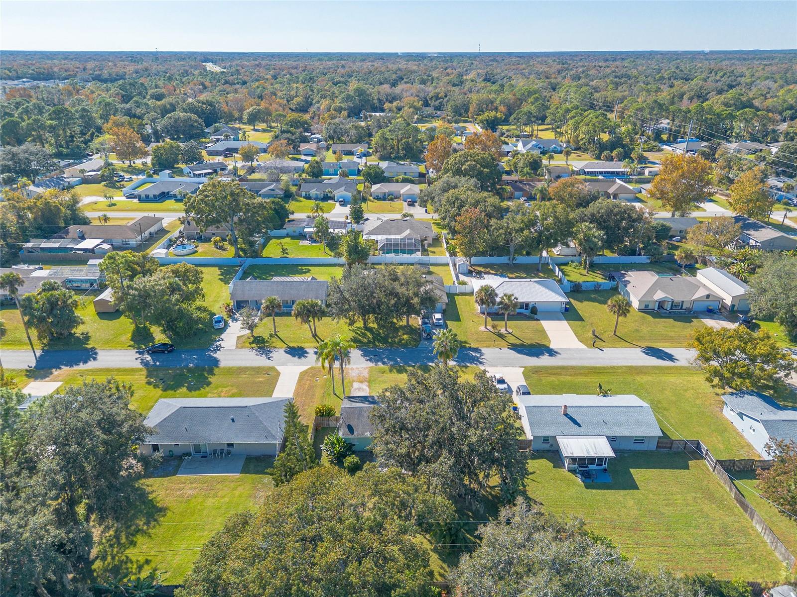 1719 UMBRELLA TREE DR, EDGEWATER, FL, 32132