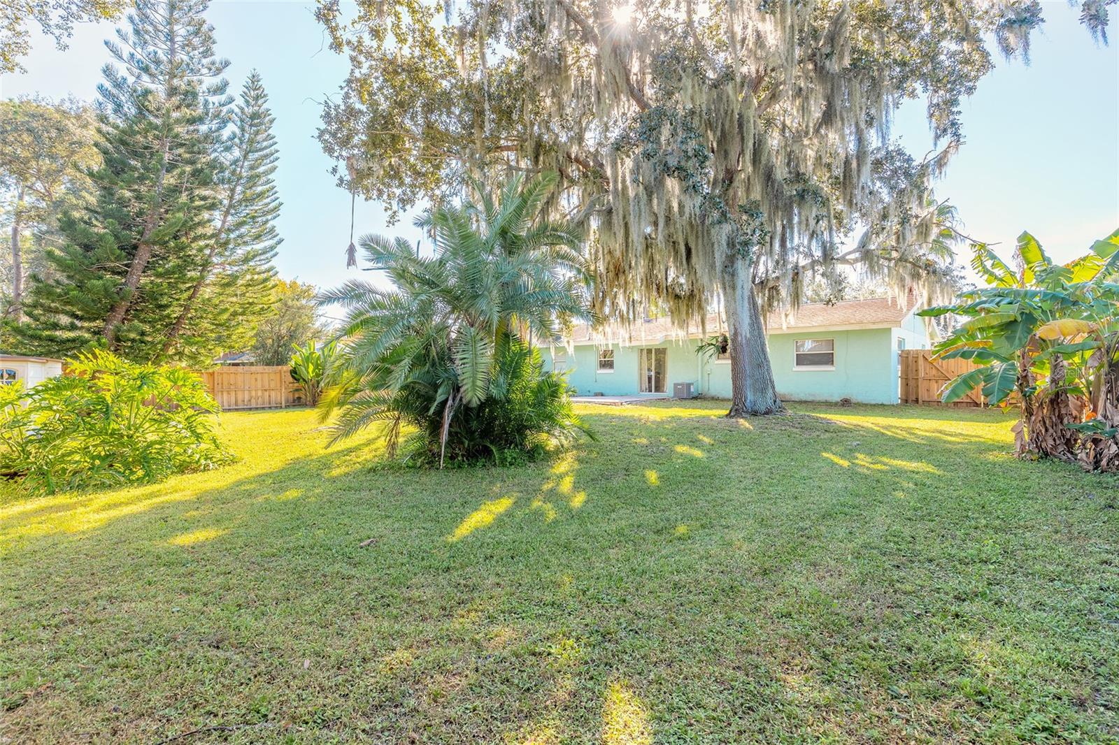 1719 UMBRELLA TREE DR, EDGEWATER, FL, 32132