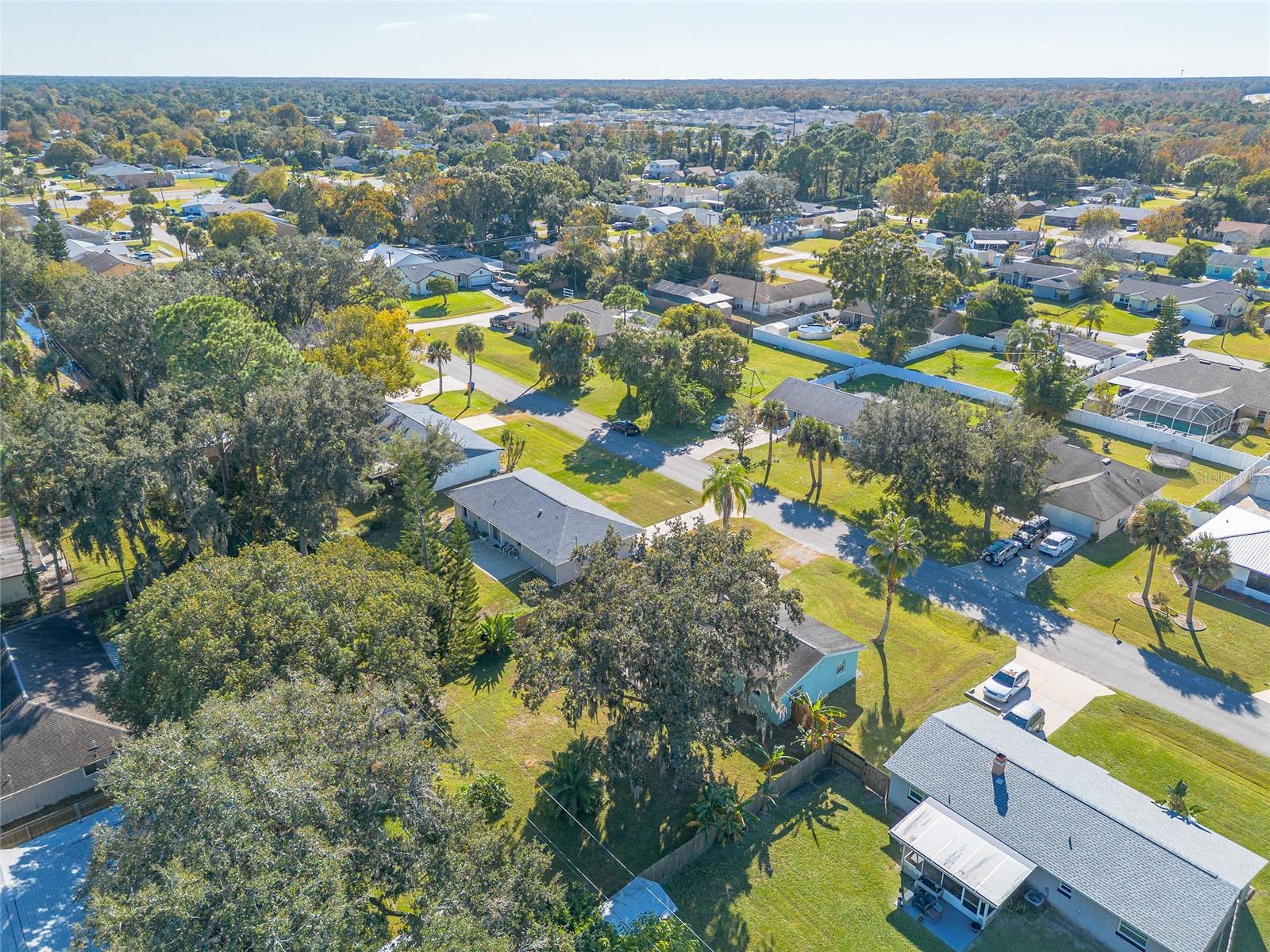 1719 UMBRELLA TREE DR, EDGEWATER, FL, 32132