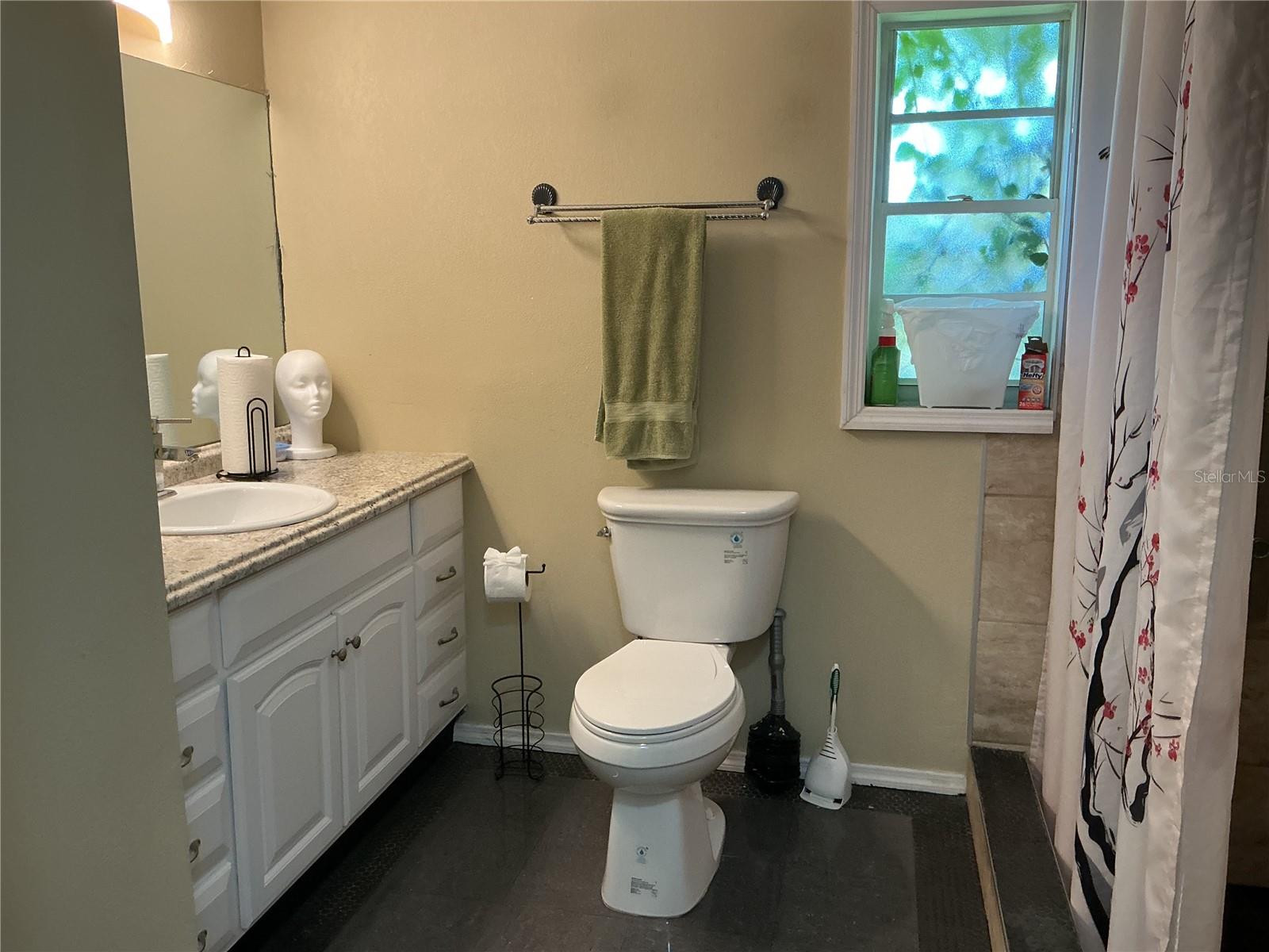 201 LOCH LOW DR, SANFORD, FL, 32773