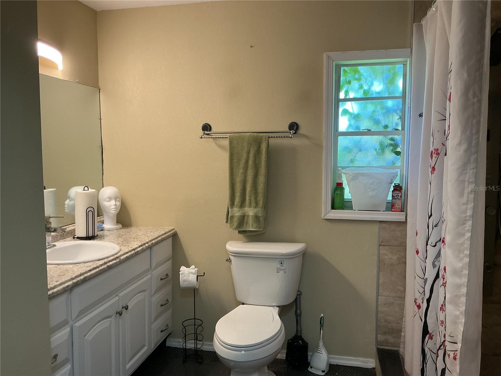 201 LOCH LOW DR, SANFORD, FL, 32773