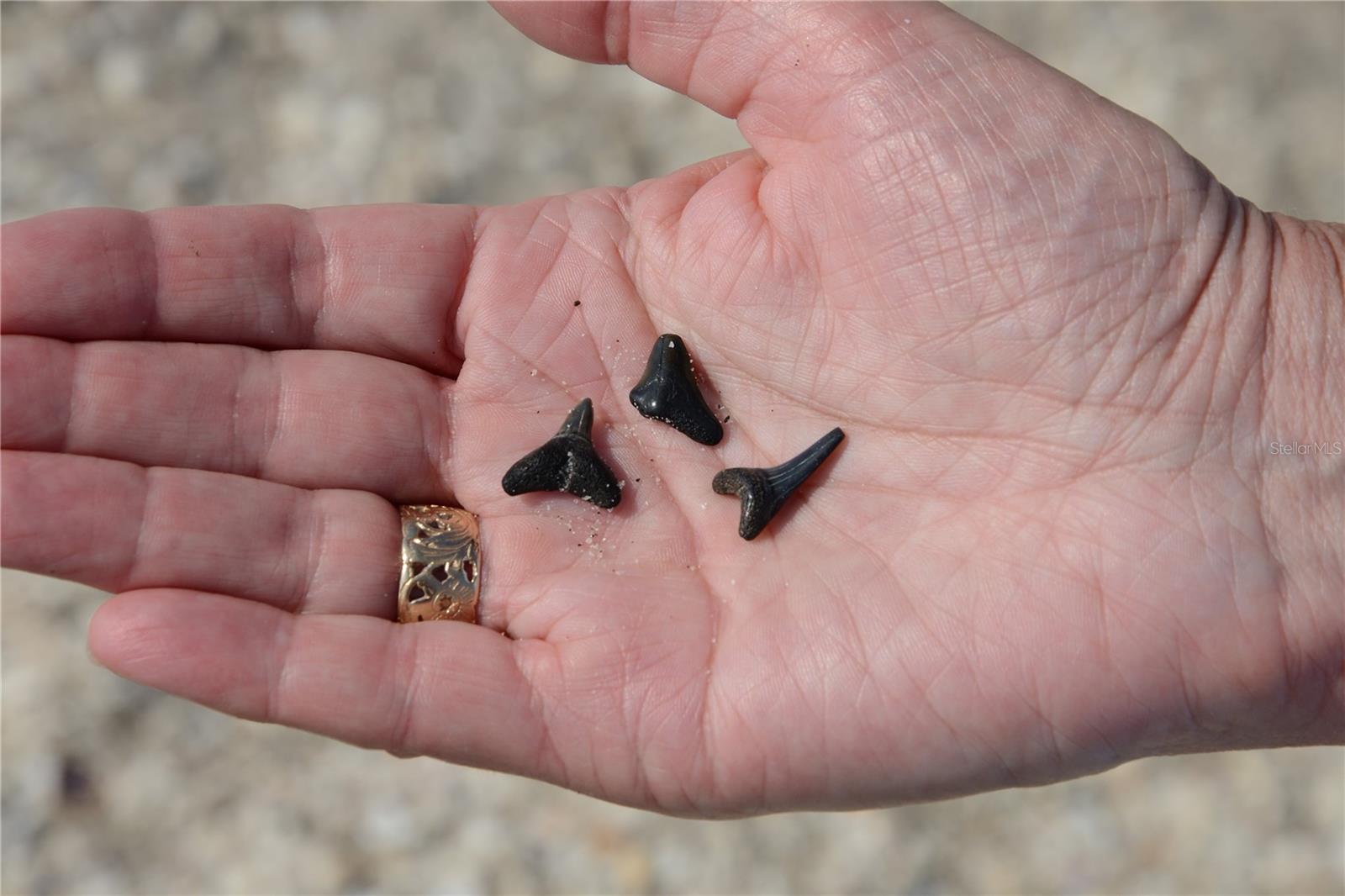 2727 N BEACH RD #113, ENGLEWOOD, FL, 34223