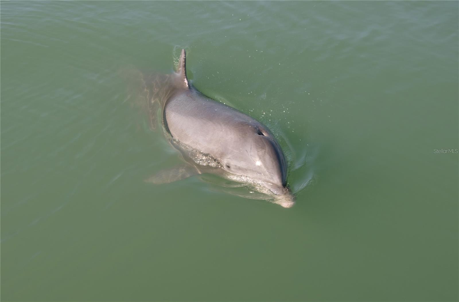 2727 N BEACH RD #113, ENGLEWOOD, FL, 34223