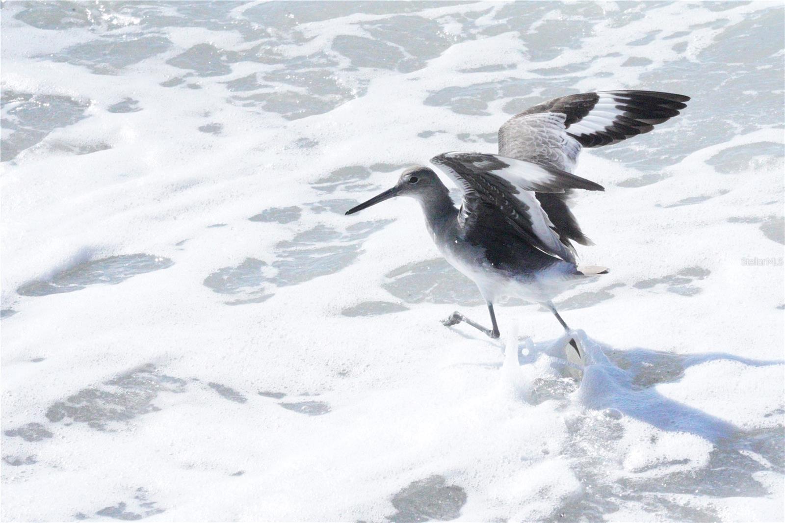 2727 N BEACH RD #113, ENGLEWOOD, FL, 34223