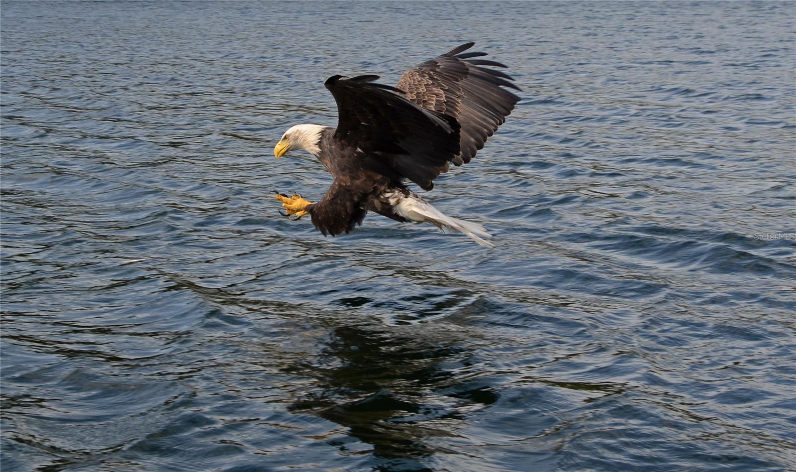 2727 N BEACH RD #113, ENGLEWOOD, FL, 34223