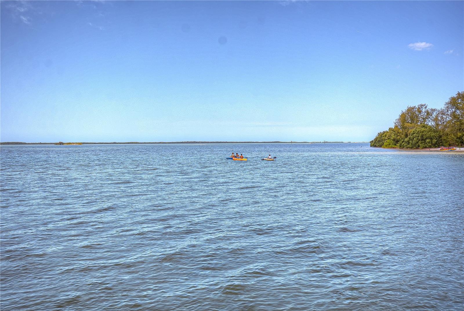 115 BUENA VISTA DR S, DUNEDIN, FL, 34698