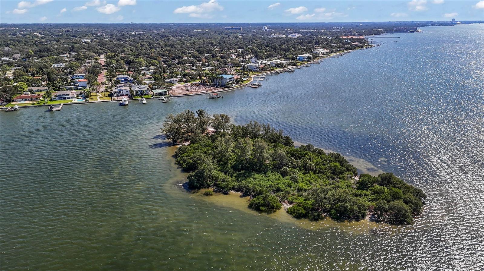 115 BUENA VISTA DR S, DUNEDIN, FL, 34698