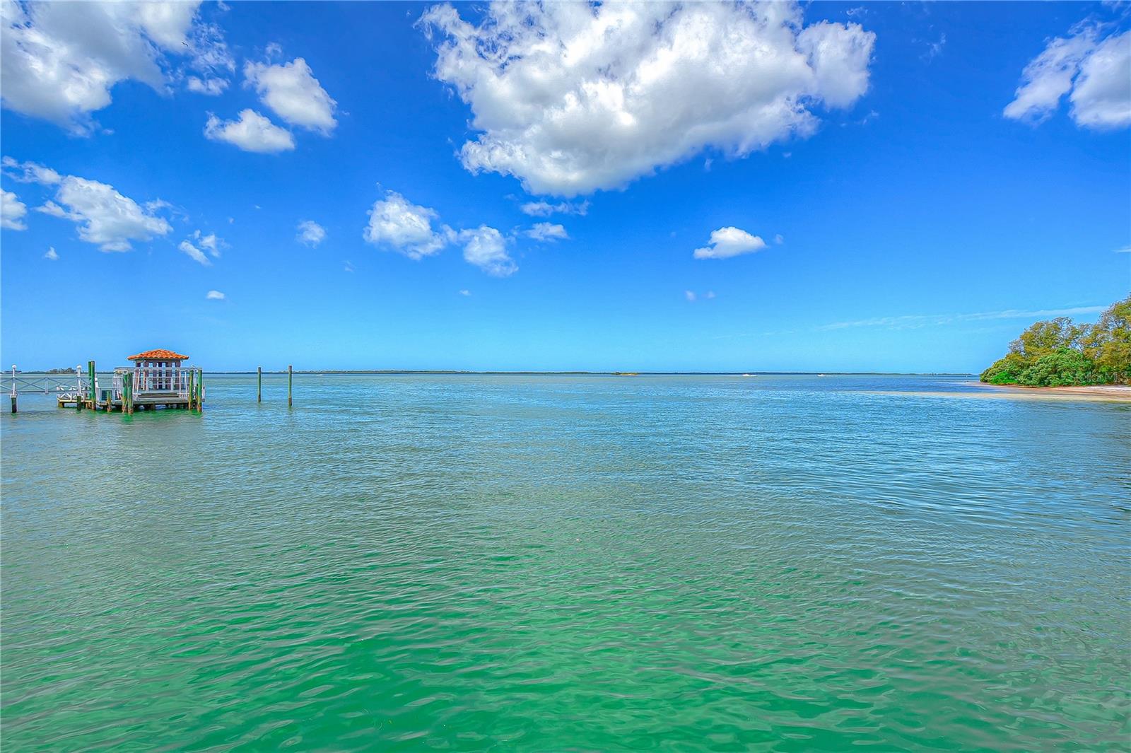 115 BUENA VISTA DR S, DUNEDIN, FL, 34698