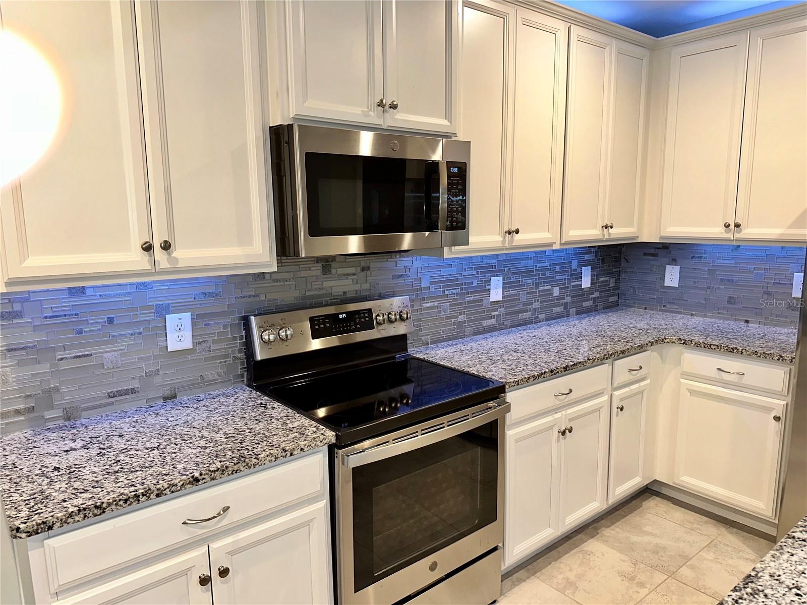 17663 TURNING LEAF CIR, LAND O LAKES, FL, 34638