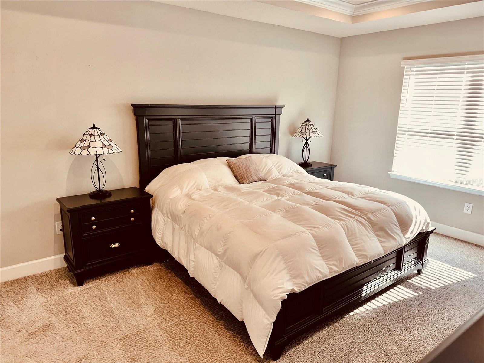 17663 TURNING LEAF CIR, LAND O LAKES, FL, 34638