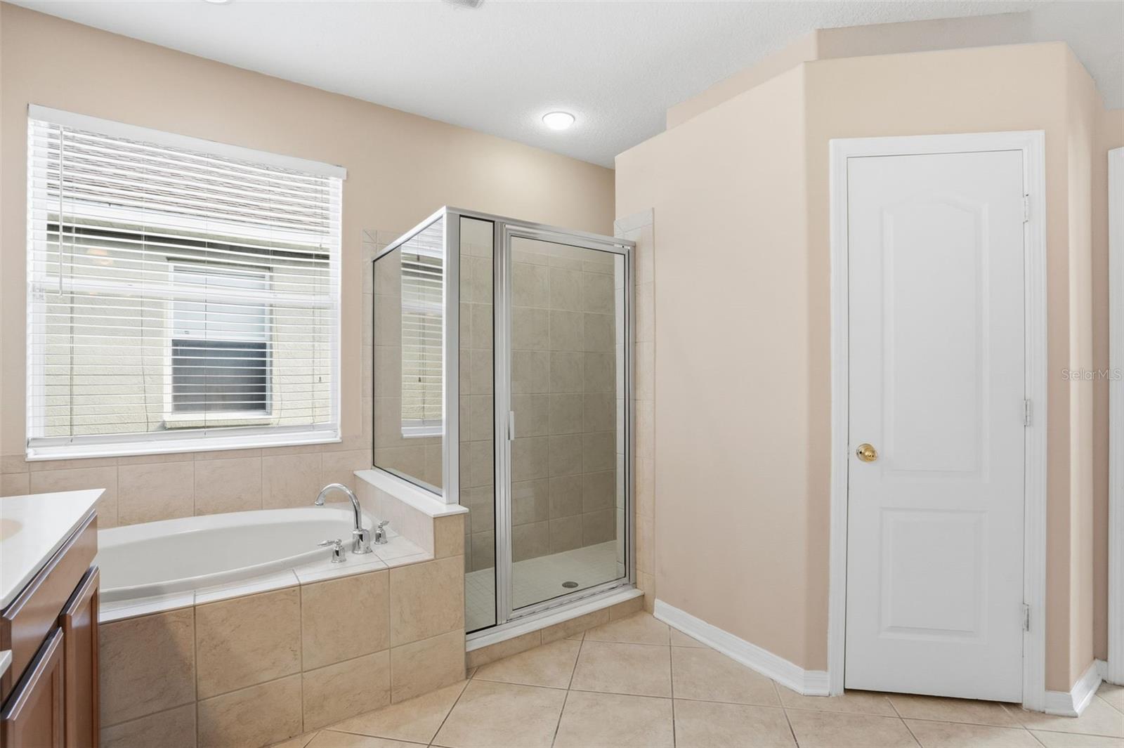 10209 TAPESTRY KEY CT, RIVERVIEW, FL, 33578