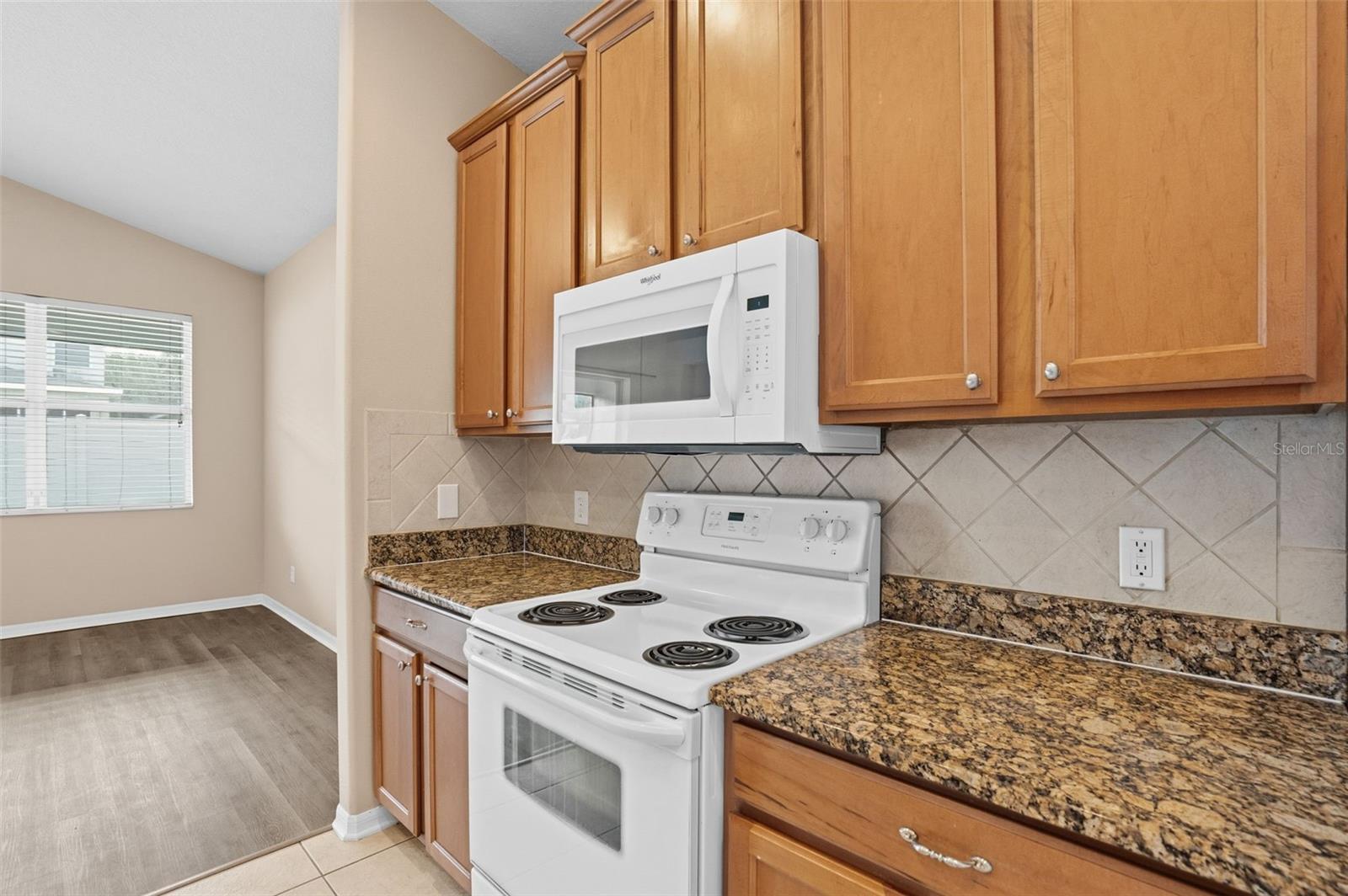 10209 TAPESTRY KEY CT, RIVERVIEW, FL, 33578