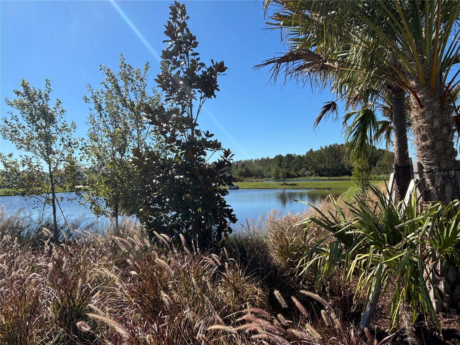 17481 SPANISH OAK LOOP, LAND O LAKES, FL, 34638