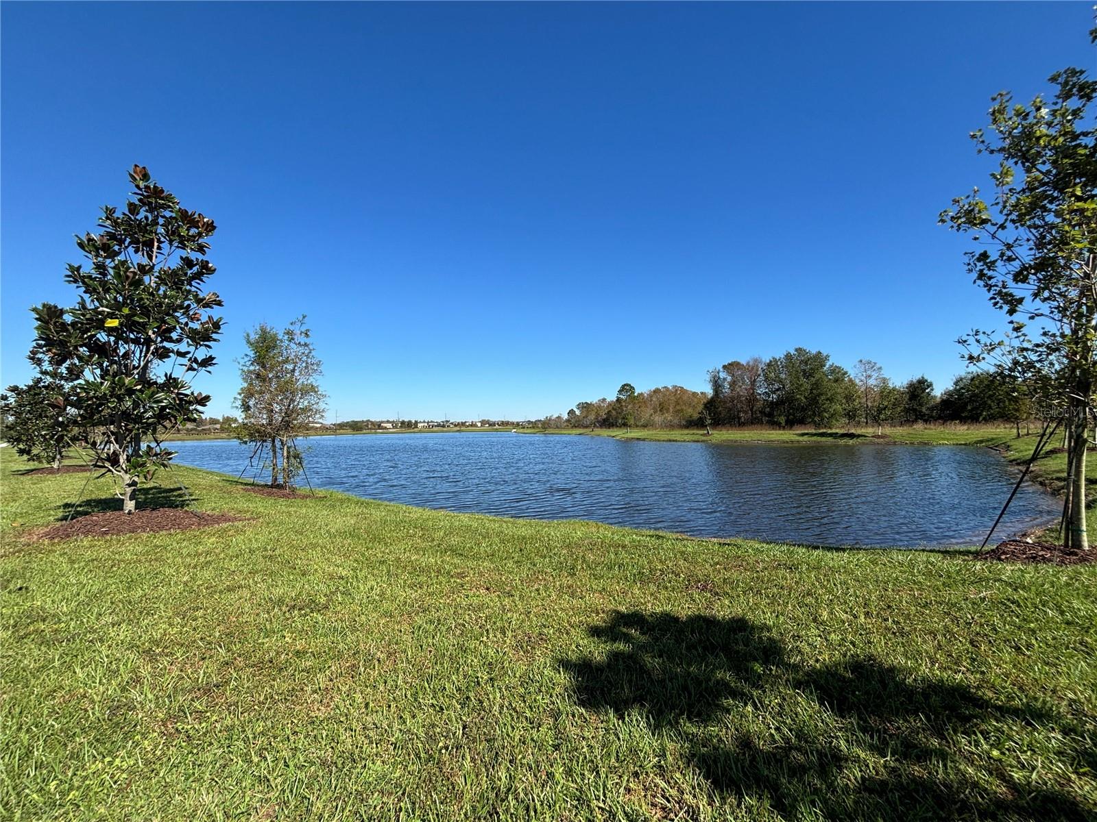 17481 SPANISH OAK LOOP, LAND O LAKES, FL, 34638