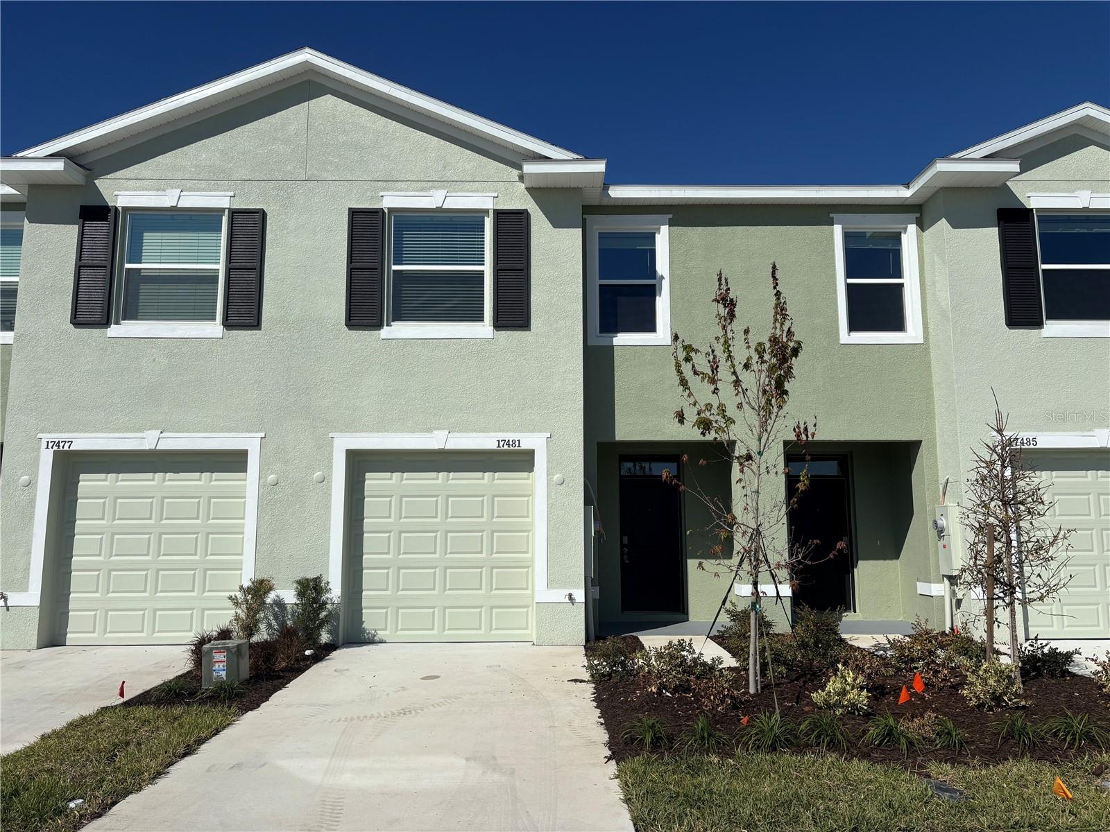 17481 SPANISH OAK LOOP, LAND O LAKES, FL, 34638