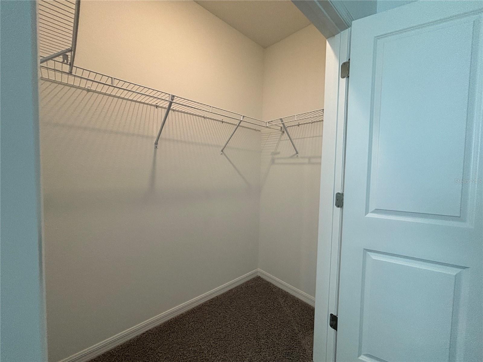 17481 SPANISH OAK LOOP, LAND O LAKES, FL, 34638