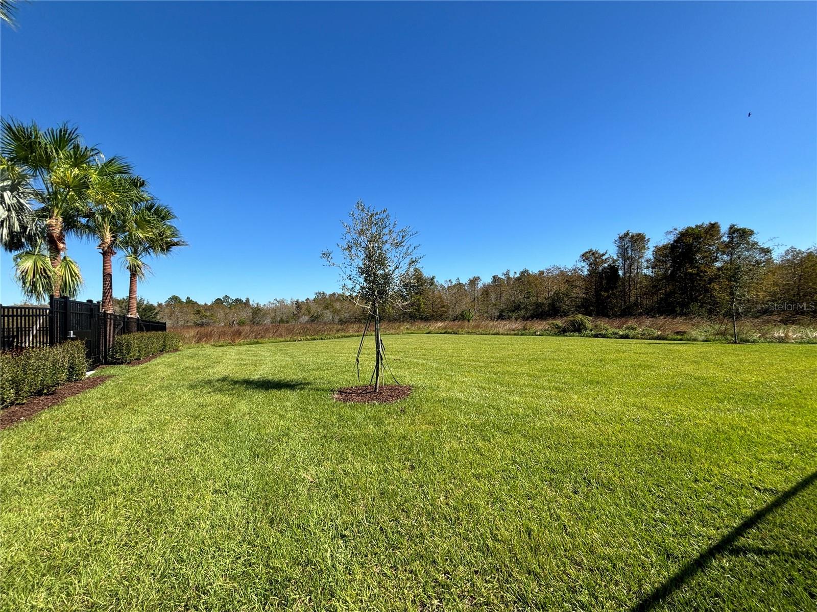 17481 SPANISH OAK LOOP, LAND O LAKES, FL, 34638