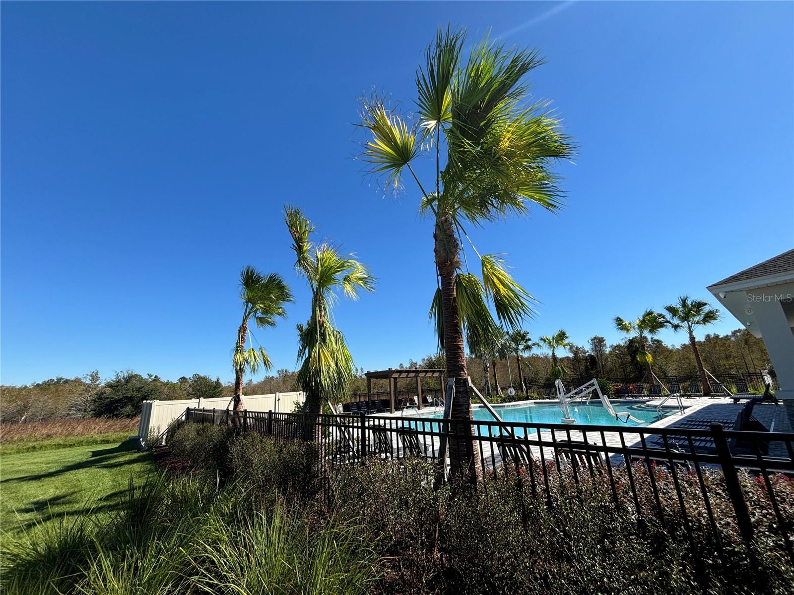 17481 SPANISH OAK LOOP, LAND O LAKES, FL, 34638